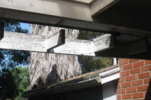 Carpentry Patio Cover Dryrot Repair - Carpentry