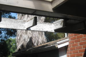 Carpentry Patio Cover Dryrot Repair - Carpentry