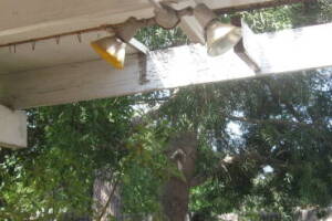 Carpentry Patio Cover Dryrot Repair - Carpentry