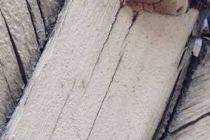 Carpentry Patio Cover Rebuild - Carpentry