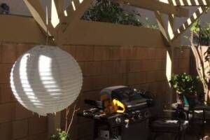 Carpentry Patio Cover Rebuild - Carpentry