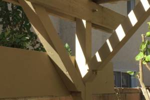 Carpentry Patio Cover Rebuild - Carpentry