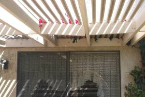 Carpentry Patio Cover Repair - Carpentry