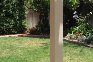 Carpentry Patio Cover Repair - Carpentry