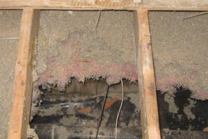 Carpentry Sublfloor Home Repair - Carpentry