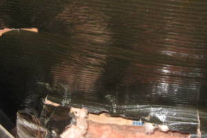 Carpentry Sublfloor Kitchen Repair - Carpentry