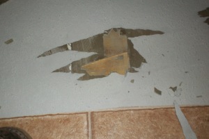 Carpentry Sublfloor Kitchen Repair - Carpentry
