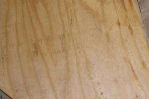 Carpentry Sublfloor Repair Insulation - Carpentry