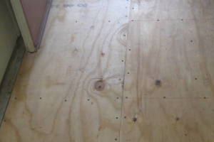 Carpentry Sublfloor Repair Insulation - Carpentry