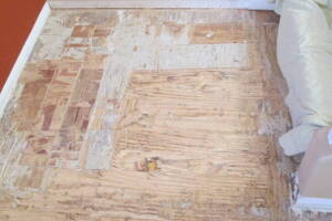 Carpentry Sublfloor Replacement Flooring - Carpentry