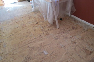 Carpentry Sublfloor Replacement Flooring - Carpentry