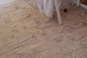 Carpentry Sublfloor Replacement Flooring - Carpentry