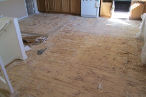 Carpentry Sublfloor Replacement Flooring - Carpentry