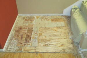 Carpentry Sublfloor Replacement Flooring - Carpentry