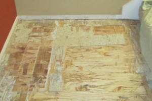 Carpentry Sublfloor Replacement Flooring - Carpentry