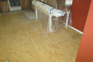 Carpentry Sublfloor Replacement Flooring - Carpentry