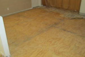 Carpentry Sublfloor Replacement Flooring - Carpentry