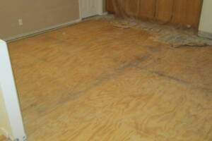 Carpentry Sublfloor Replacement Flooring - Carpentry