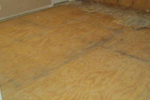 Carpentry Sublfloor Replacement Flooring - Carpentry