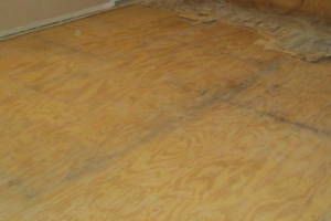 Carpentry Sublfloor Replacement Flooring - Carpentry