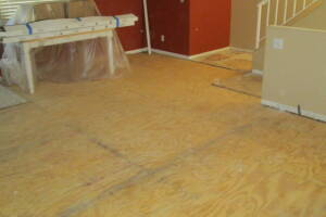 Carpentry Sublfloor Replacement Flooring - Carpentry