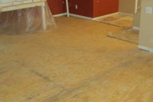 Carpentry Sublfloor Replacement Flooring - Carpentry