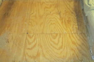 Carpentry Sublfloor Replacement Flooring - Carpentry