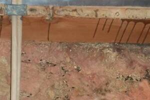 Carpentry Sublfloor Replacement Insulation - Carpentry