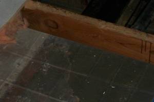 Carpentry Sublfloor Replacement Insulation - Carpentry