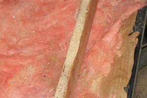 Carpentry Sublfloor Replacement Insulation - Carpentry