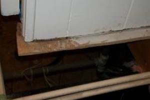 Carpentry Sublfloor Replacement Insulation - Carpentry