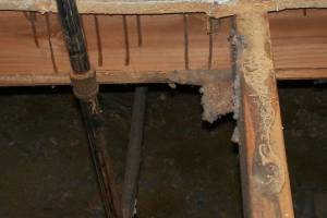 Carpentry Sublfloor Replacement Insulation - Carpentry