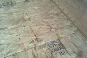 Carpentry Sublfloor Replacement Insulation - Carpentry