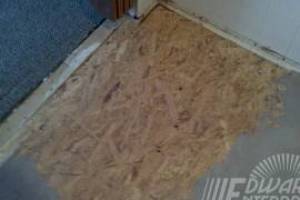 Carpentry Sublfloor Replacement Insulation - Carpentry