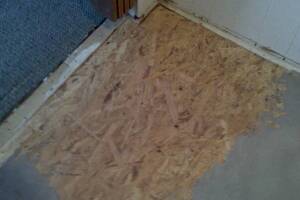 Carpentry Sublfloor Replacement Insulation - Carpentry