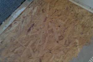 Carpentry Sublfloor Replacement Insulation - Carpentry