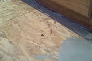 Carpentry Sublfloor Replacement Insulation - Carpentry