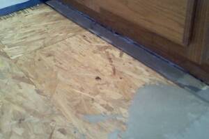 Carpentry Sublfloor Replacement Insulation - Carpentry