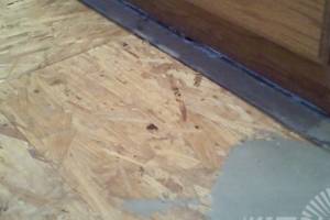 Carpentry Sublfloor Replacement Insulation - Carpentry
