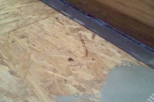 Carpentry Sublfloor Replacement Insulation - Carpentry