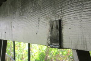 Carpentry Deck Beam Repair - Carpentry