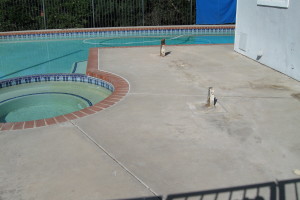 Carpentry Deck Patio Remodel - Carpentry