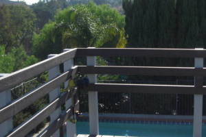 Carpentry Deck Patio Remodel - Carpentry