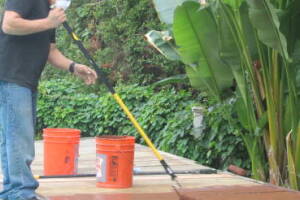 Carpentry Deck Pool Refinish - Carpentry