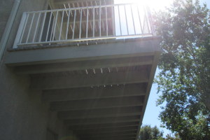 Carpenty Deck Patio Rebuild - Carpentry
