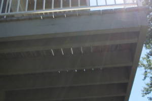 Carpenty Deck Patio Rebuild - Carpentry