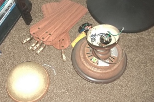 Electrical Ceiling Fan Reinstall - Electrical