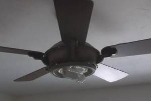 Electrical Ceiling Fan Reinstall - Electrical