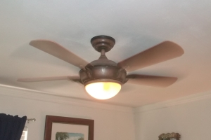 Electrical Ceiling Fan Reinstall - Electrical