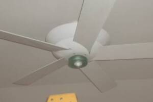 Electrical Ceiling Fan Replace - Electrical